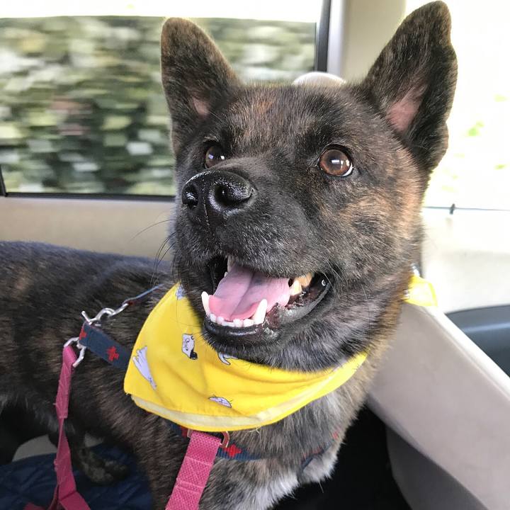 24e14b5e 0bd3 45db b564 9d66f42a6e1f