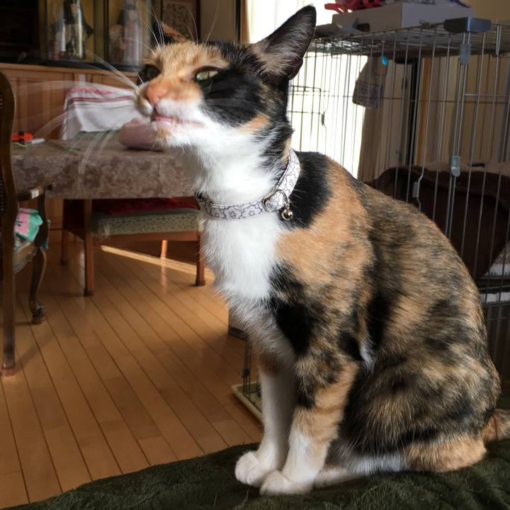 24e15ef1 ed7e 401c 94fb 369454eca971