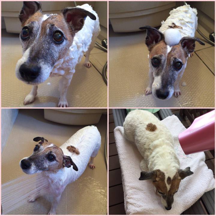 24e179db 8118 4cbd b614 563617b04e63