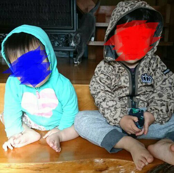 24e20552 cb55 40cc b36e 83fd5e328216