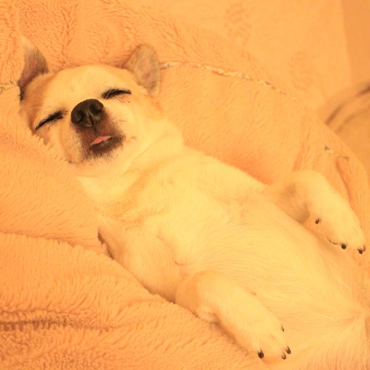 24e28113 ed62 4a88 90ba e9c9dd448dc4