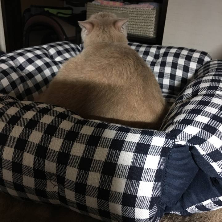 24e287f9 7a1e 4304 ad5b efff75fdbe35