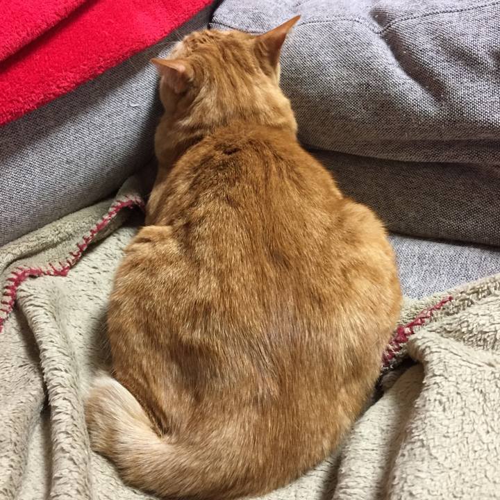 24e3ae6f e7d8 413b 86b9 88a915087697