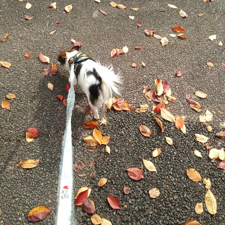 24e4d0e1 3fde 4afa 8e8c 1580b744a484