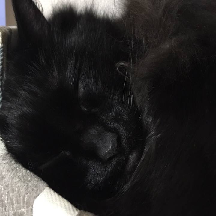 24e4fc01 ce0d 4992 bcb1 50c872dc334e