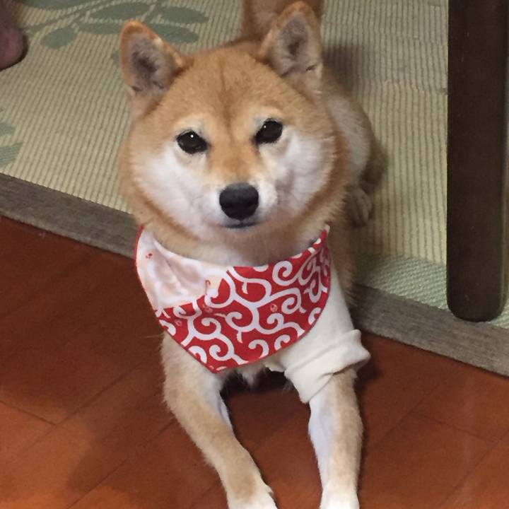 24e5007d a3c0 4c99 a6be decc7088374f