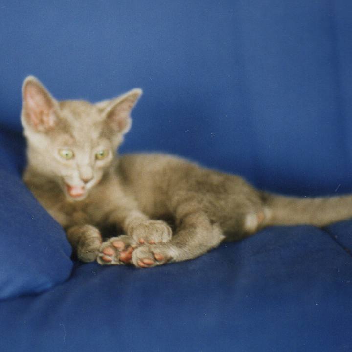 24e53634 4e80 4be0 b9c5 5c25072a4c64