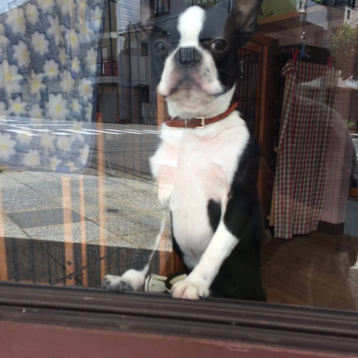 24e5852c 893e 4008 9c06 0731b6913a20