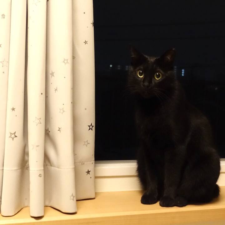 24e5ac8c 8740 49cf a076 e75bc99fd610