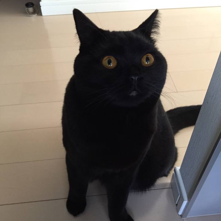 24e5f61a ddcb 43d1 ba80 8acd0f2f9ec8