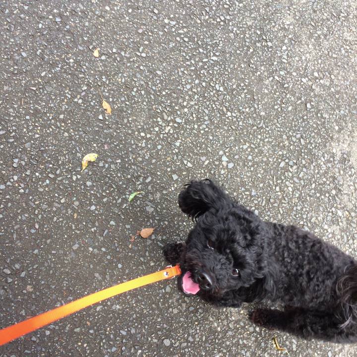 24e61041 6a16 4eb0 876c d141706f60d5