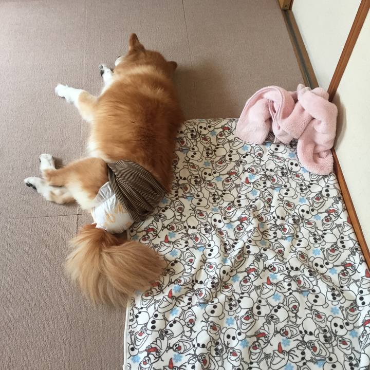 24e6bb9a 1ace 46e4 bae0 cae29838b03a