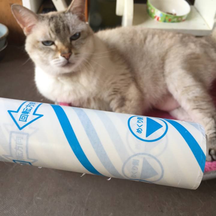 24e74e2b 4cc0 498c b94c a6e7c02b7d19