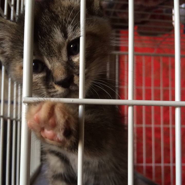 24e78421 c6bd 4761 a1e7 a1450323f1cb