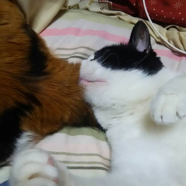 24e8d082 230c 4f7e 84e6 f0daae3af3f2