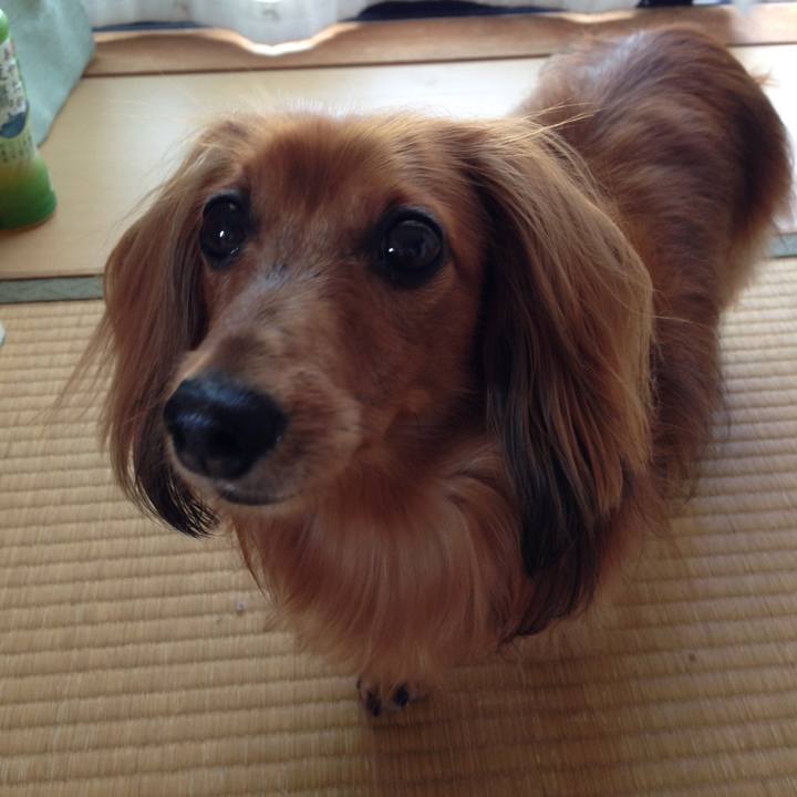 24ea4908 d471 4f65 8c9a f8a32b407a2d