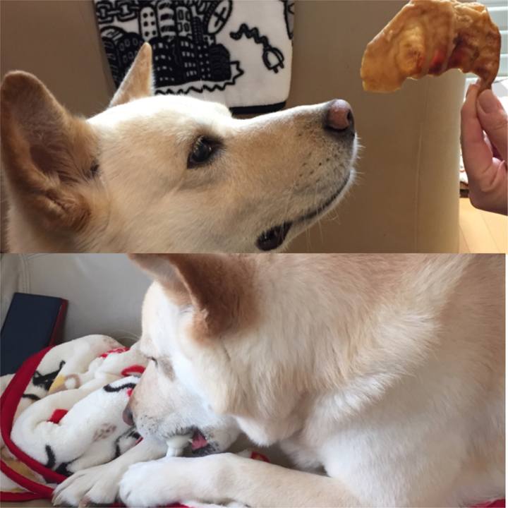 24eafb2e 04a0 4463 b1df dd44f341ddab