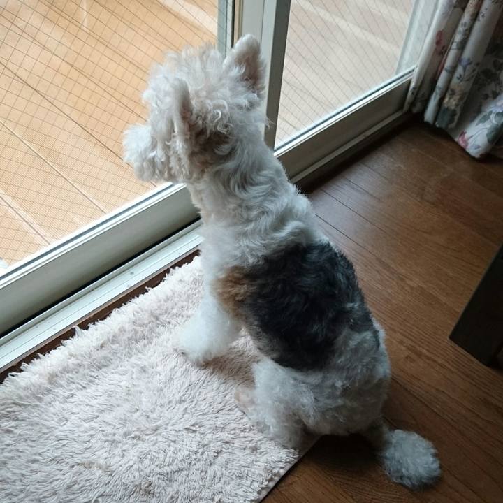 24eb6613 cdef 4c38 84f6 3b03a0cc6126