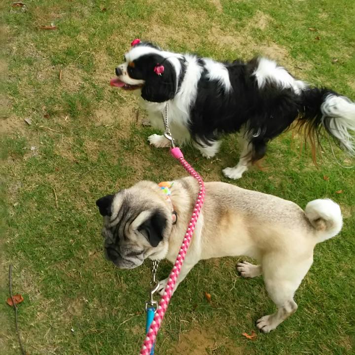 24ec1ac0 e117 4ee3 9484 6e365fcdf067