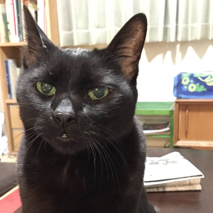 24ecbd82 13c8 4ba7 ae49 8d521067c05c