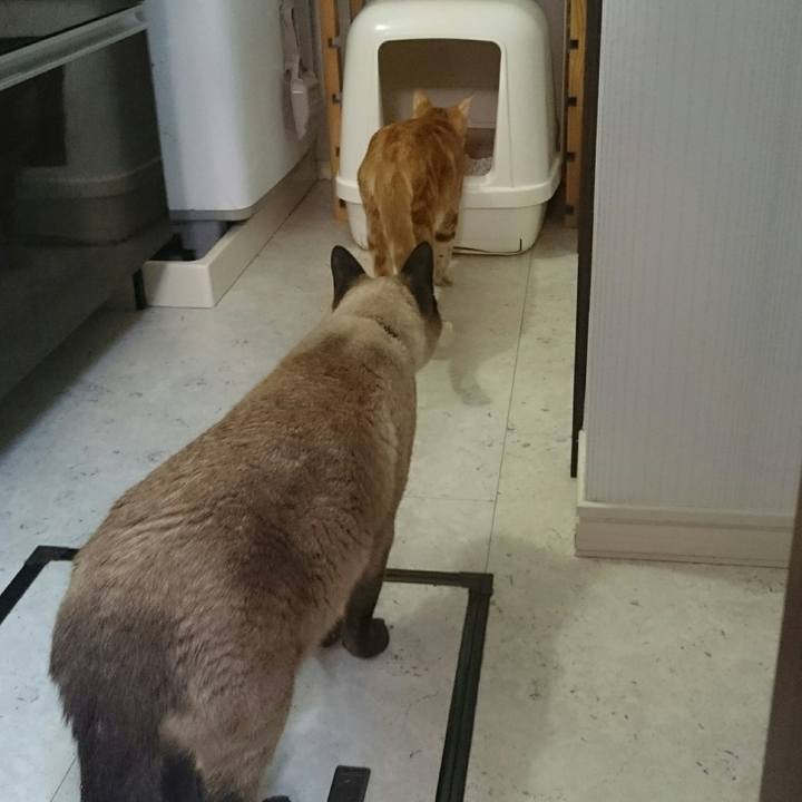 24ed4f46 4613 4450 981a b0223f206808