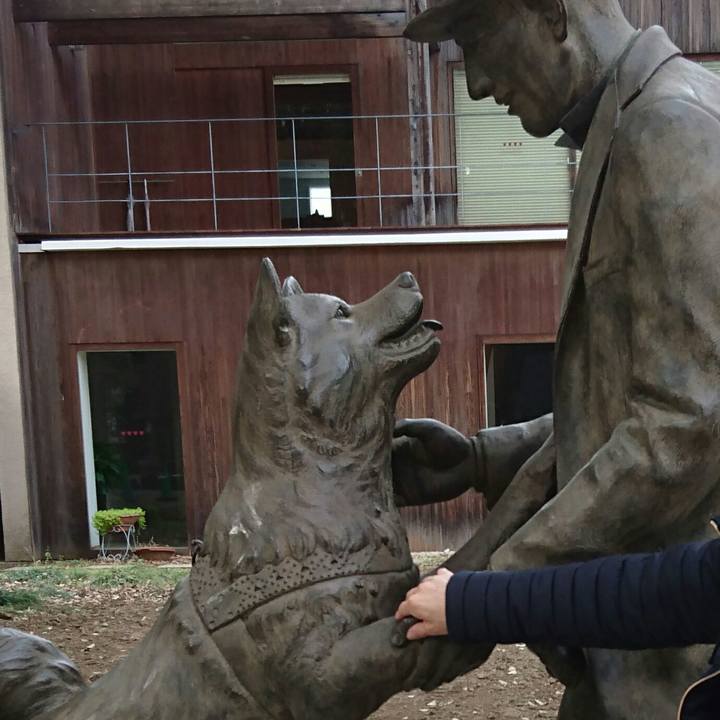 24ed8a69 32fd 4256 bbc5 4b24e530d690