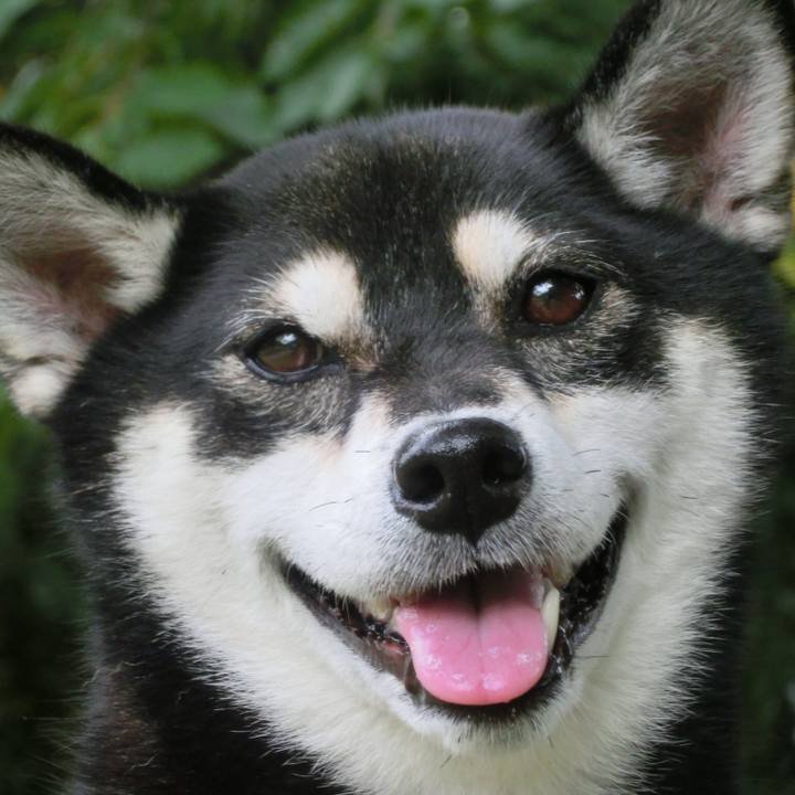 24ed95c8 01a9 4143 ac1e 793c0e15ede4