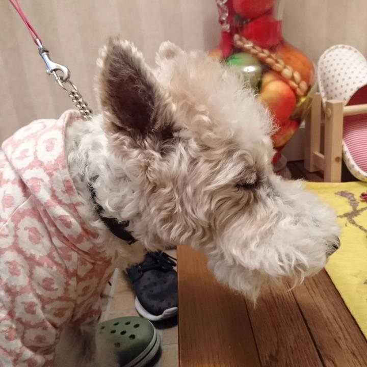 24edae44 5357 40d9 ba04 d4c797262c16