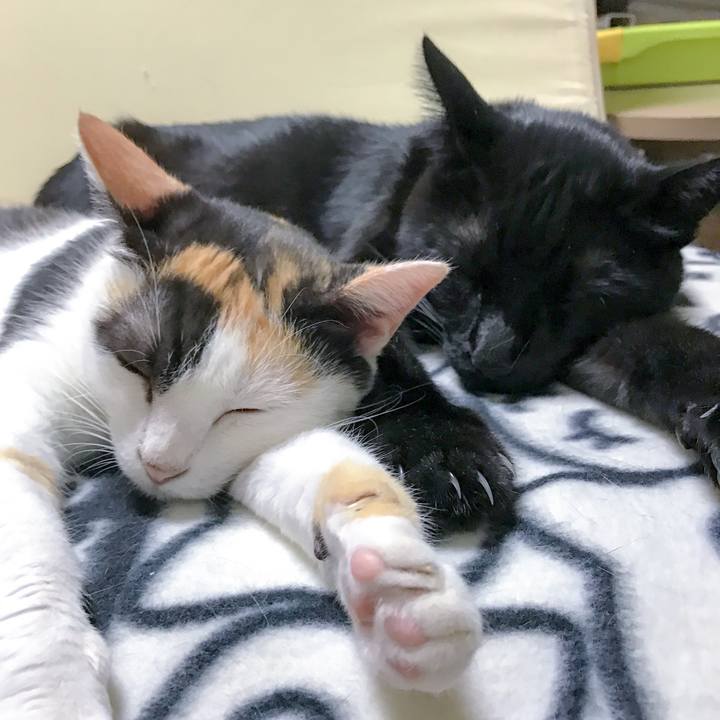 24edb505 d1ec 449d 83df 3d6e7d42b274