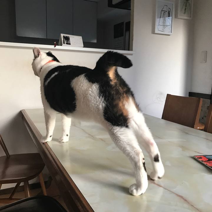 24edcca0 a01c 4e08 b671 4f5dc341d220