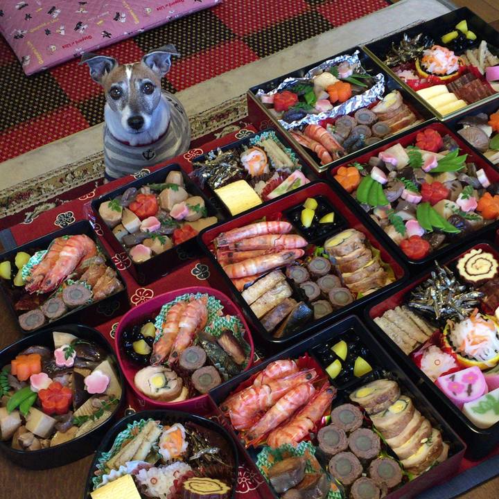 24ee57ed 3e15 49ed b722 16d60ed4ddc6