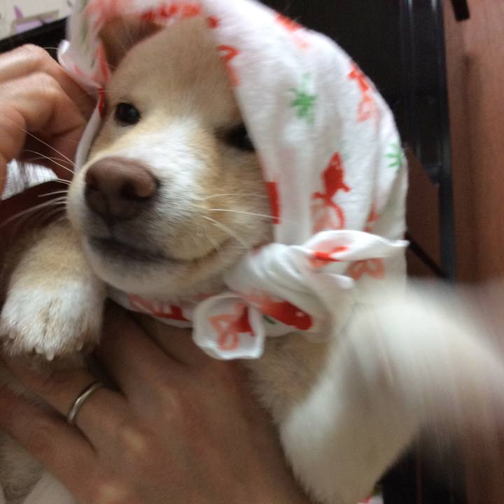 24eeeb7a 5327 4646 a7af 0ab7ccc69ac9