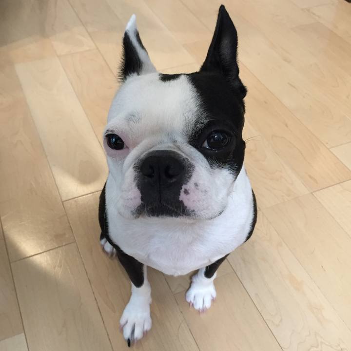 24ef1059 ed29 49db ad7b b0f3262175da