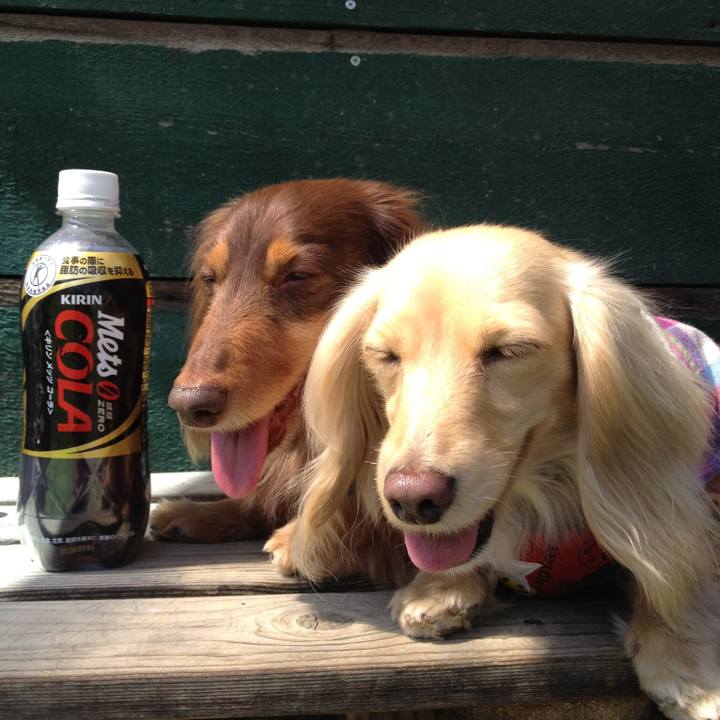 24ef1a8e c1b7 463c 9eba 9531fd7638c1