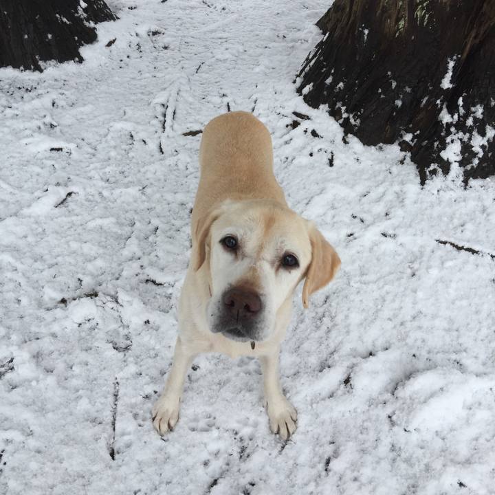 24ef3d04 3924 479c 945f feb52723421d