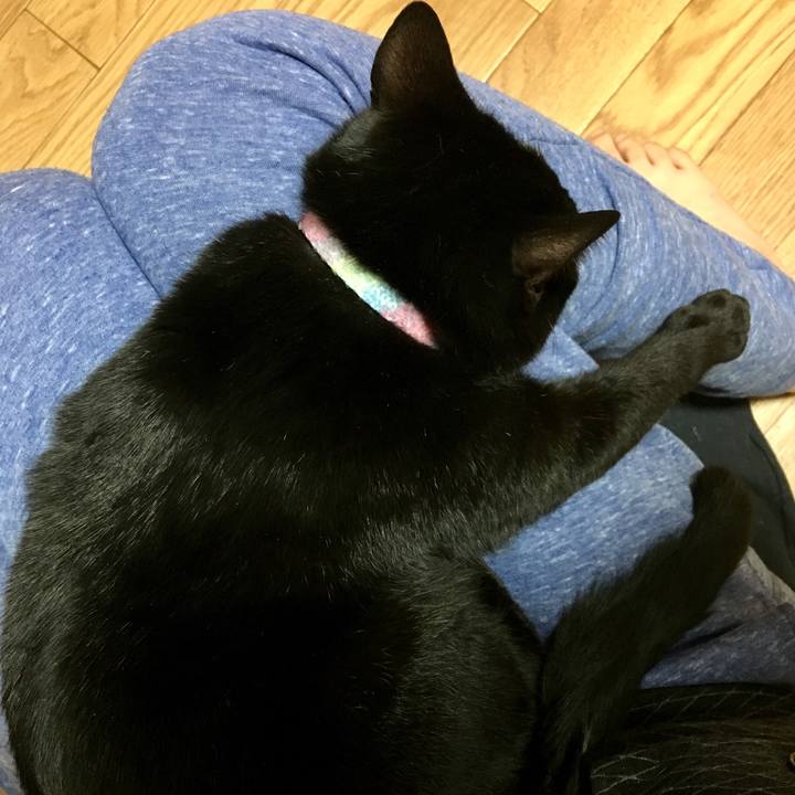 24efd59a 0e52 46e8 9950 5dcabcc3a5cc