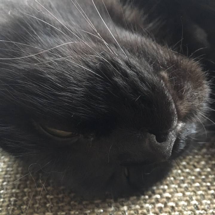 24efdcbc 2473 4aa1 a0fe 077fb79bf5be