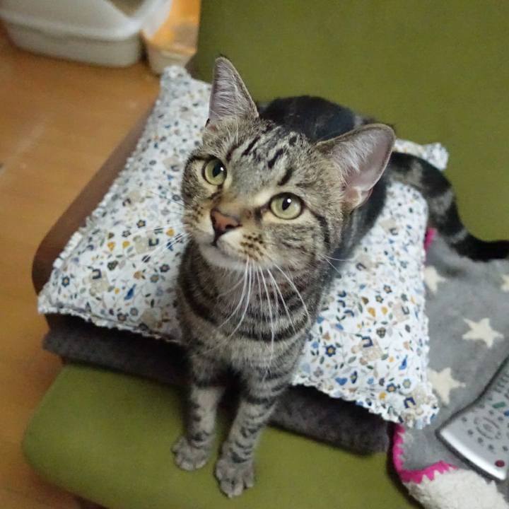 24f0bbde 269f 4937 aa84 b8316b077675