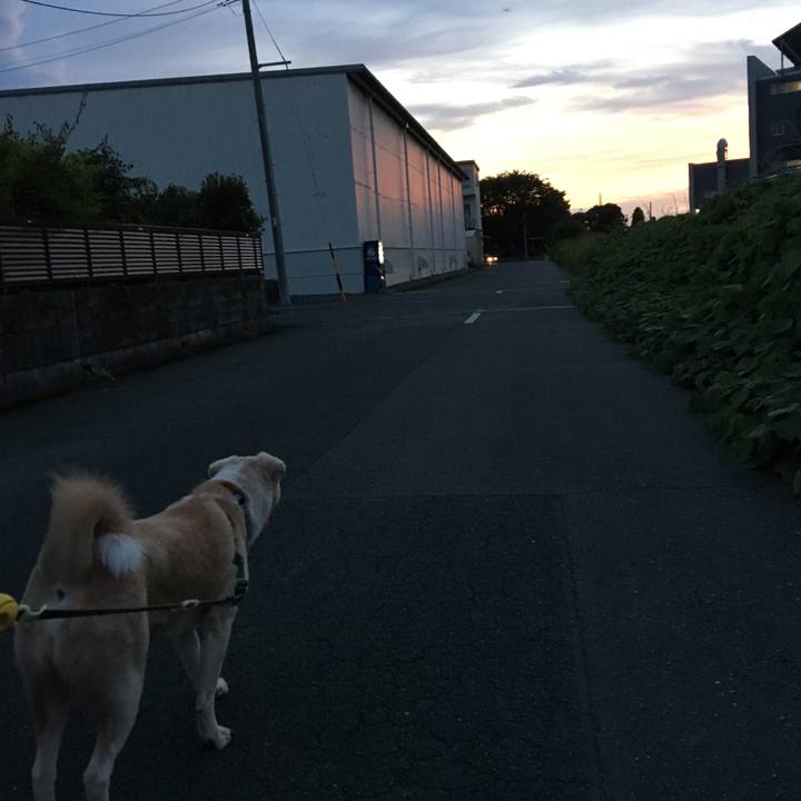 24f0ca54 81c2 4fba a910 42d81c8faa80