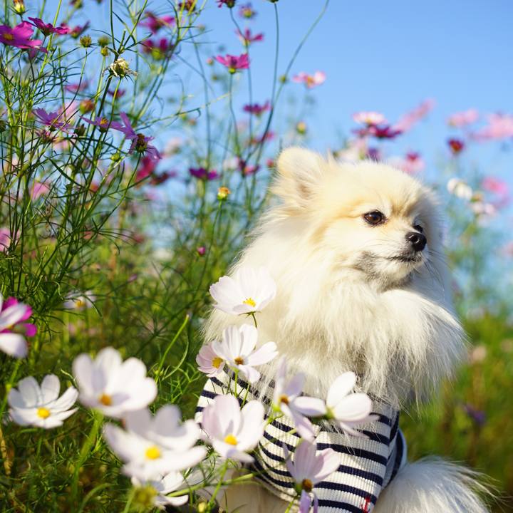 24f102ed e77d 4240 9f76 29b70e46be40