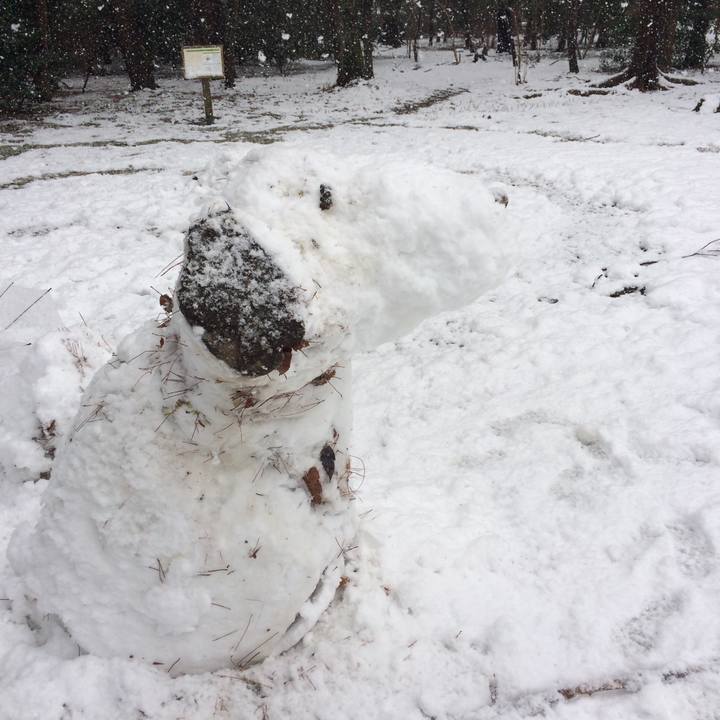 24f12d2e 101d 41d5 87a6 1cce80b57289