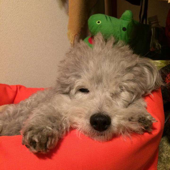 24f176fa 0e7a 40c6 9328 86b1beb557d3