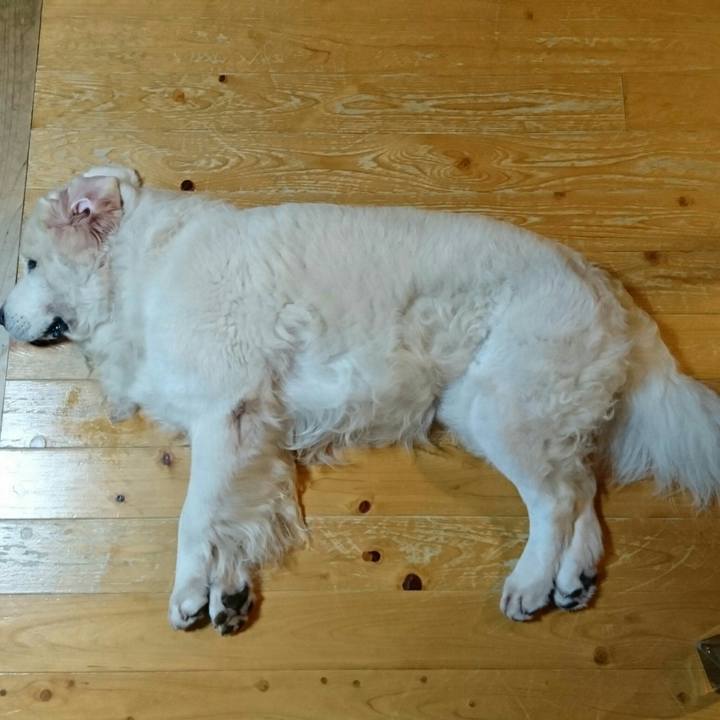 24f185ff 9109 4602 86b6 bb64c6907108