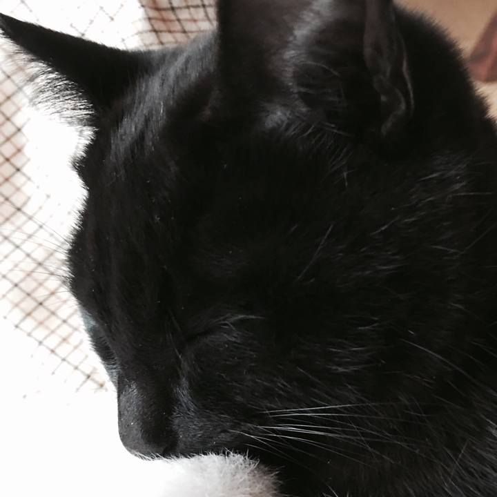 24f1ce13 e42a 4a24 876e 0002f528691f