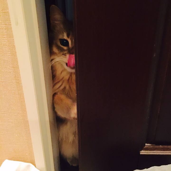 24f214bb 0cf4 46d0 b830 6dd148c95112