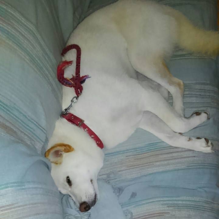 24f2d703 d989 408f b138 130e282a767b