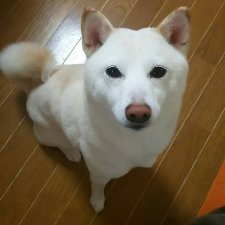 24f392df 14ce 438f af54 36cf0c21d9f4