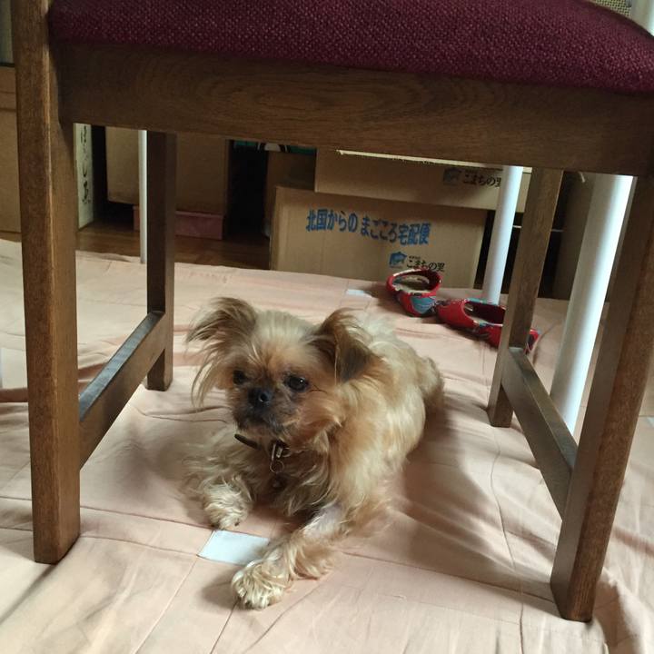 24f3aab2 f687 4f50 89e1 05d5266ef3b2