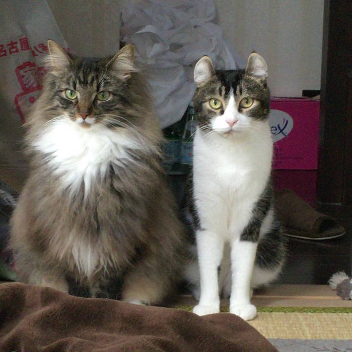 24f42d21 5fe0 431a ada2 24c0cea44484