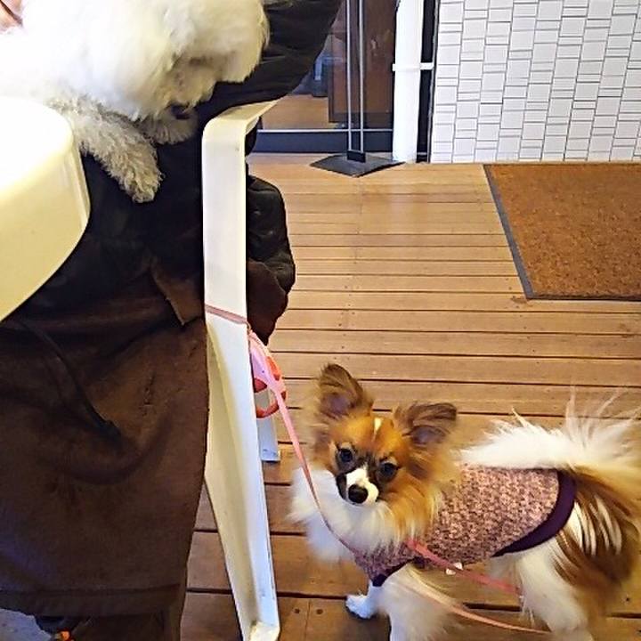 24f4f238 3c20 4fdf abc9 7b1aad6c44a9